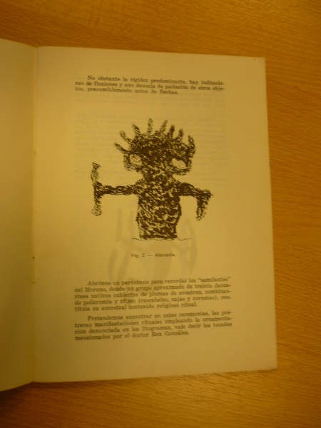arupestre2